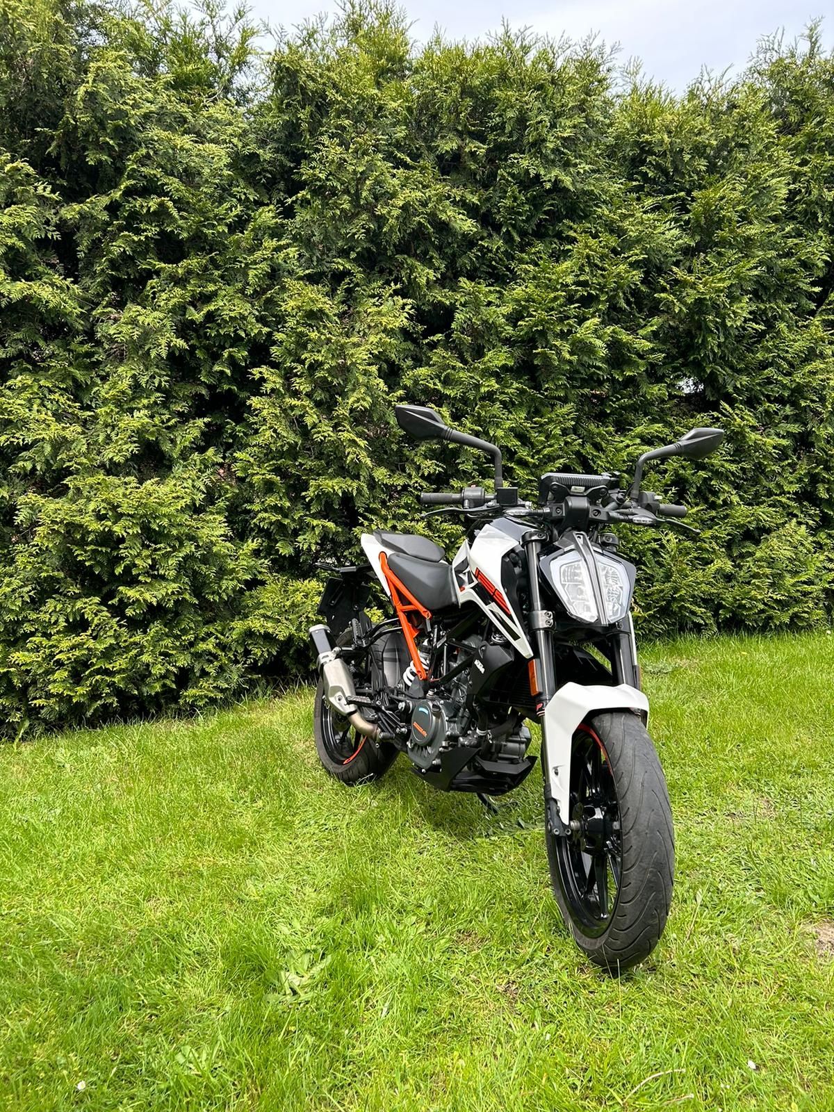 KTM Duke 125 R 2019