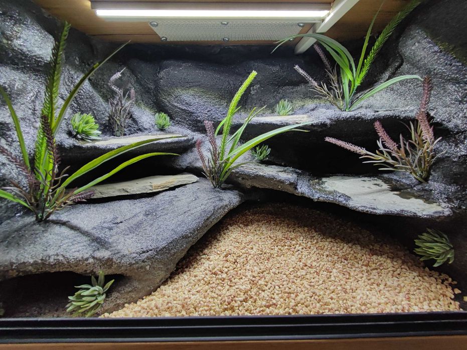 Terrarium pustynne nr746 60/40/40 dla gekona lamparciego DOSTĘPNE