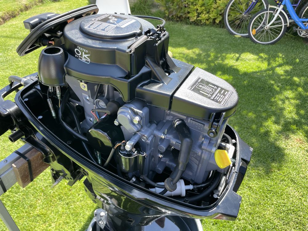 Motor Mercury 9.9