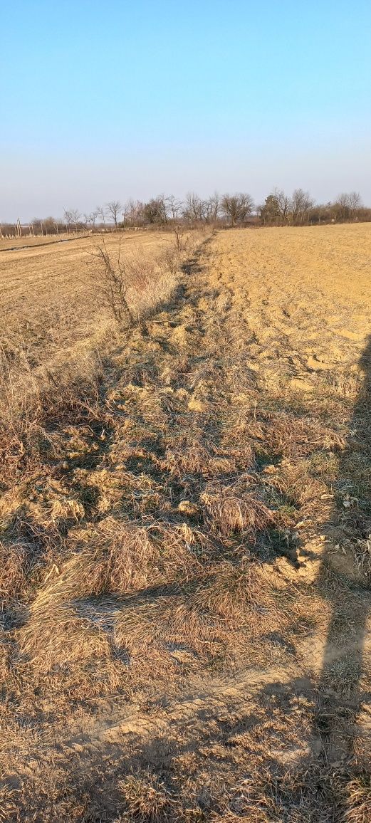 Продаж земельної ділянки