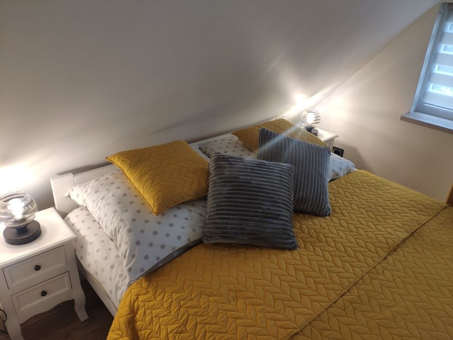 Apartament ALPa Kudowa-Zdrój-Centrum