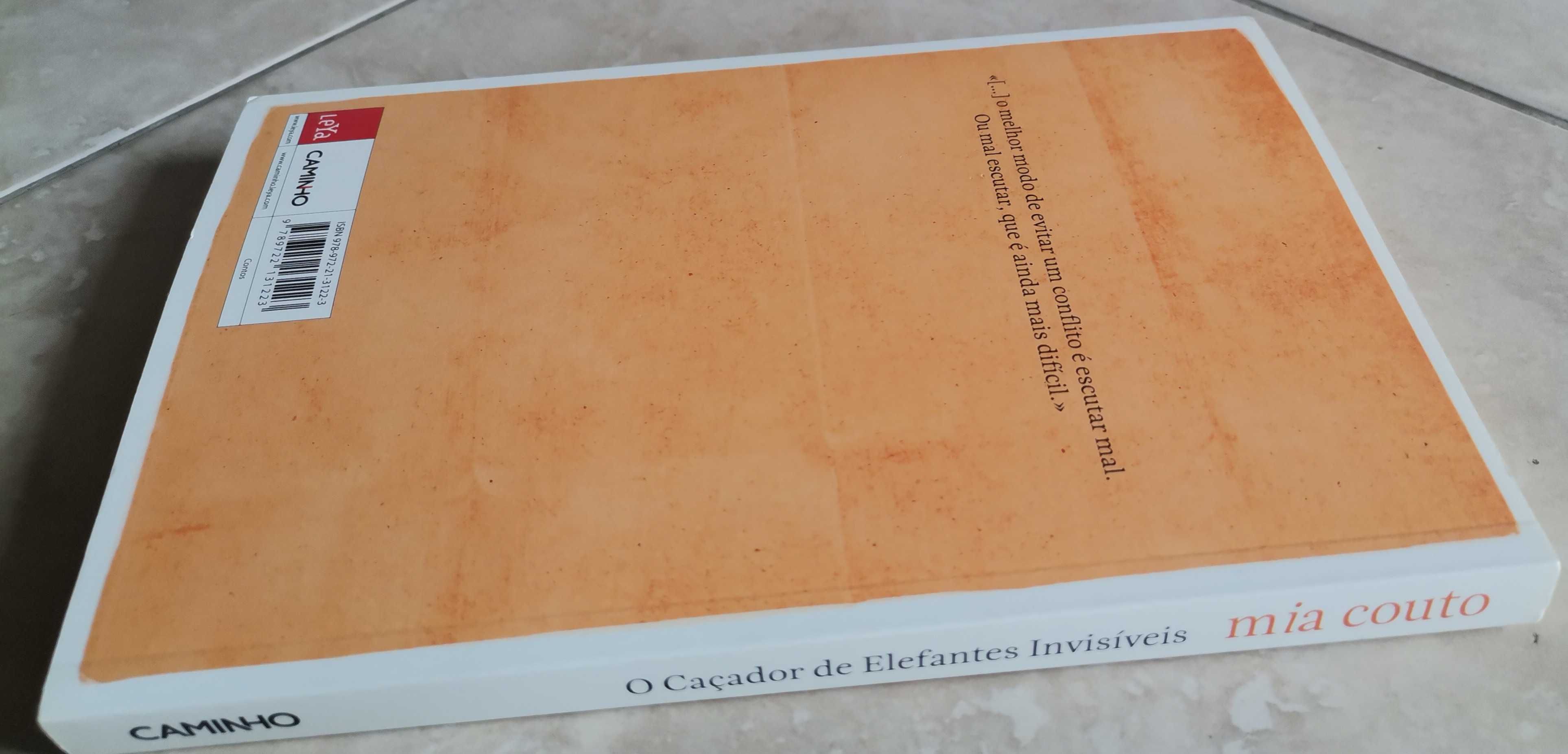 Portes Grátis - O Caçador de Elefantes Invisíveis
