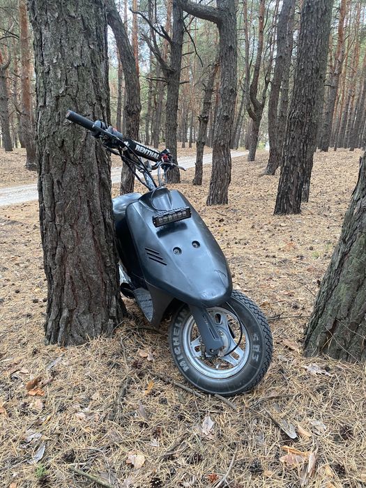 Сузуки сепия ад50