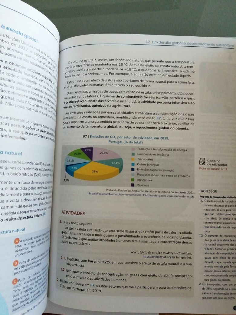 ÁREA DE INTEGRAÇÃO Cursos Profissionais Ano 1 Plátano Dossier do prof.