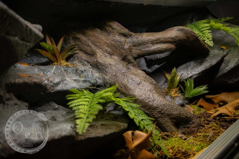 Terrarium dla jaszczurki/ węża 80x40x40