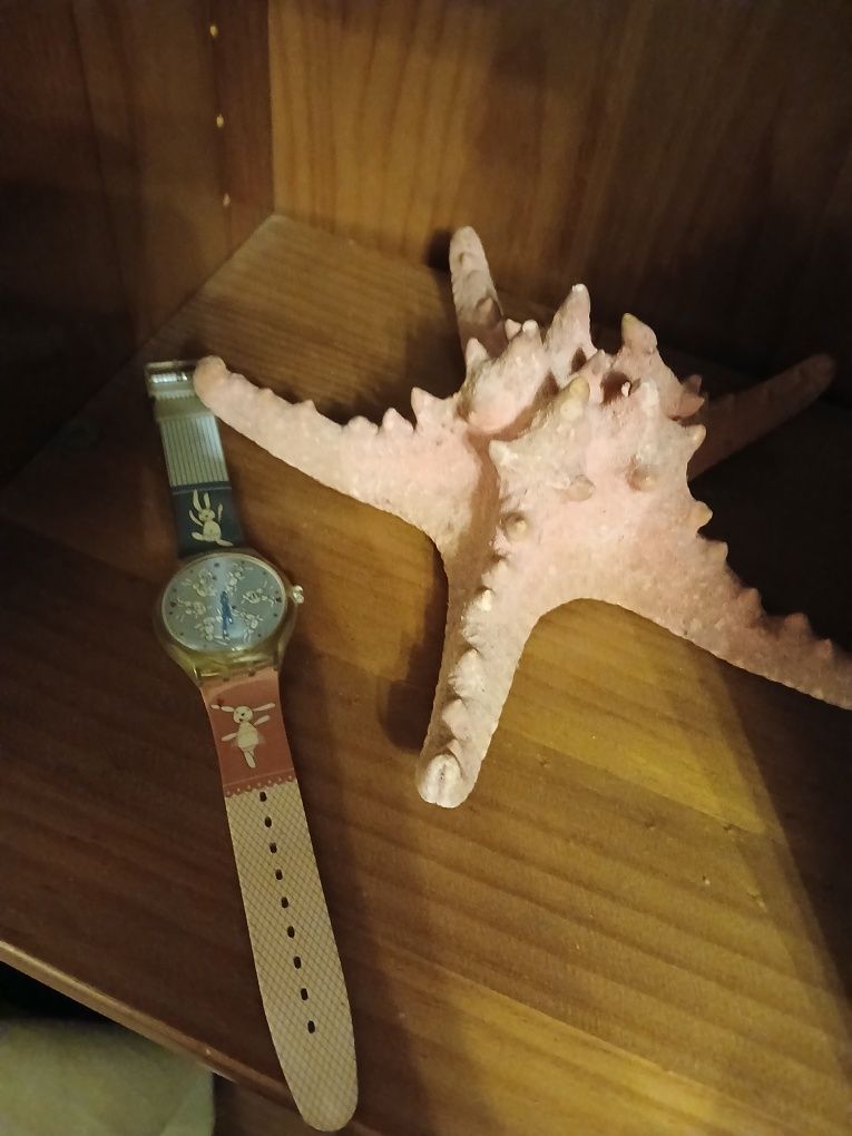 Swatch coelhinhos