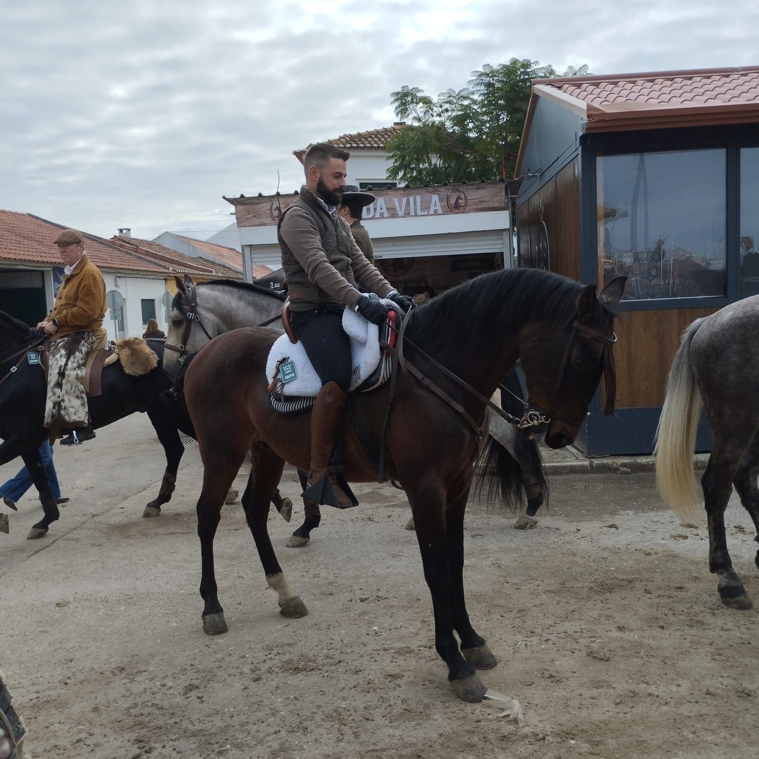 Cavalo castanho!!