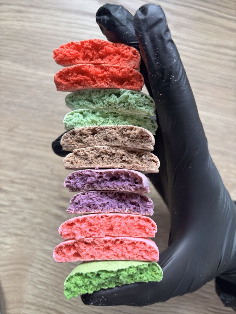 Korpusy makaroników
