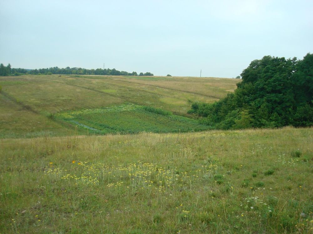 Велика Вільшанка ділянка 32 соток