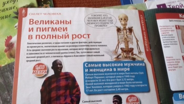2 увлекательных журнала анатомия для детей"тело человека"