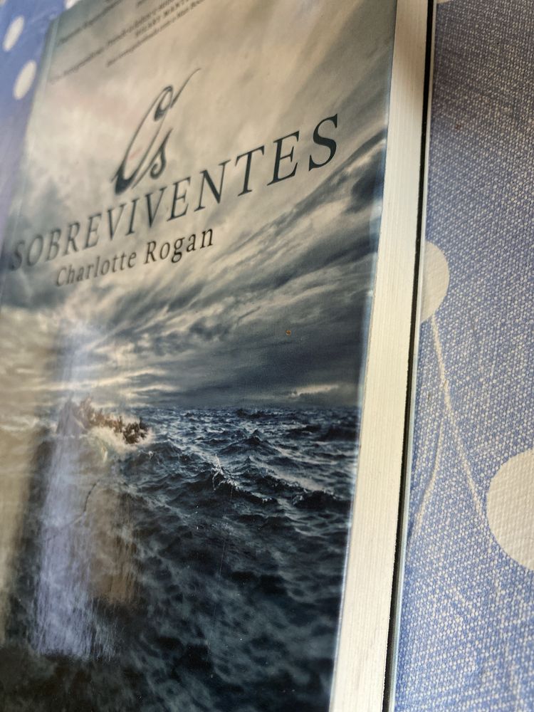 Livro “ Os sobreviventes ” de Charlotte Rogan