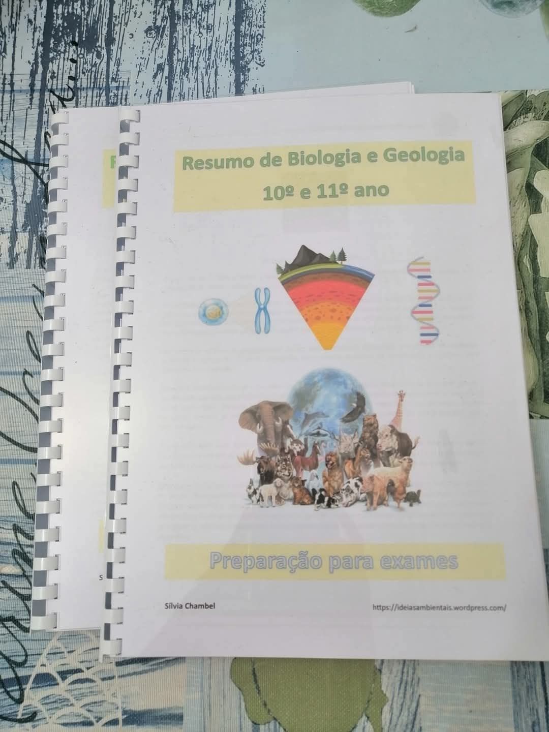 Resumos escolares para exame nacional