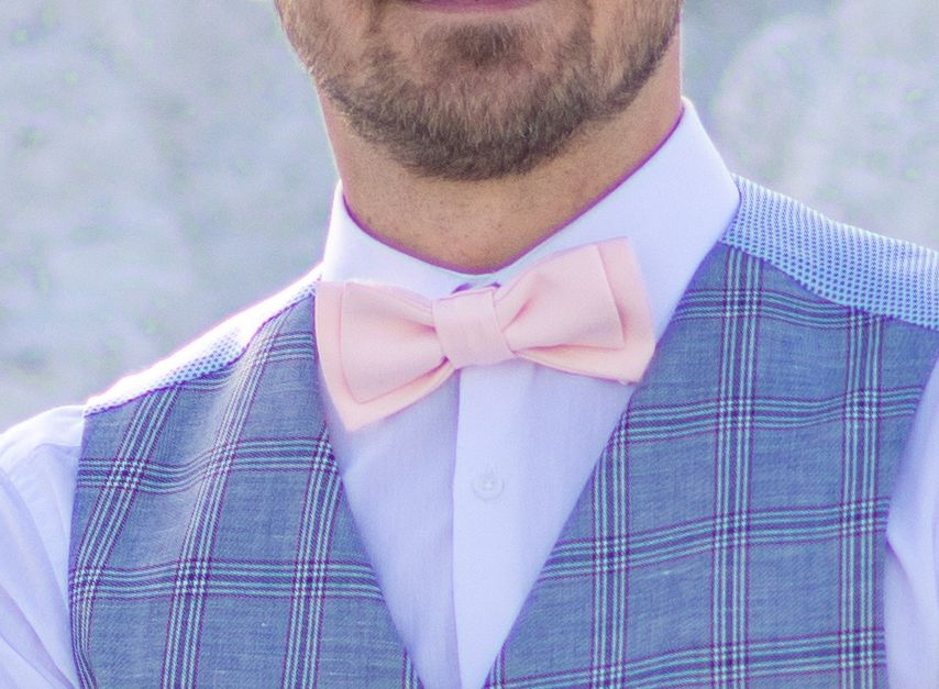 Бабочка мужская.