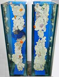 Akwarium z oryginalnymi koralowcami W stylu morskim Nowe