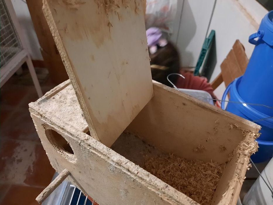 Ninhos para aves de pequeno porte