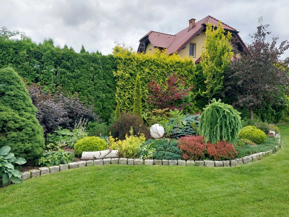 Uslugi ogrodnicze Twój prywatny ogrodnik Kraków-Kalwaria okolice