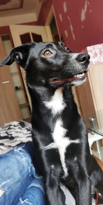 Zaginęła - prosimy o pomoc!