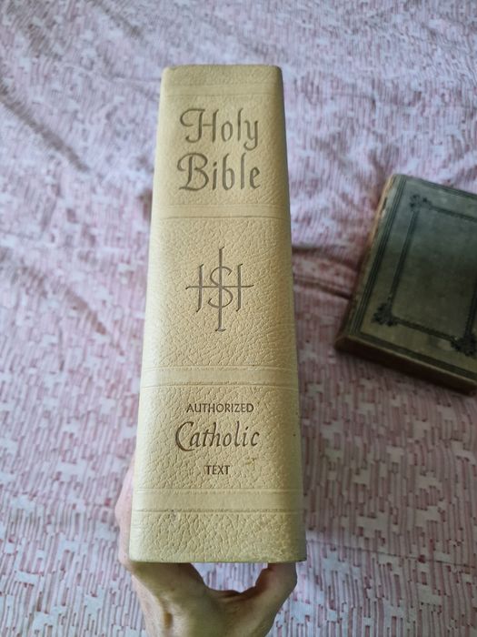 Conjunto de 2 Bíblias: Holy Bible e Bíblia Sagrada