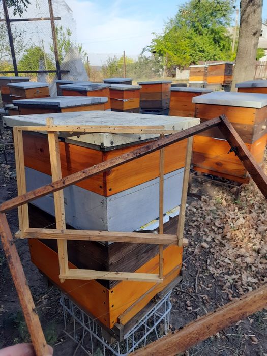 Рамка на вулик 300