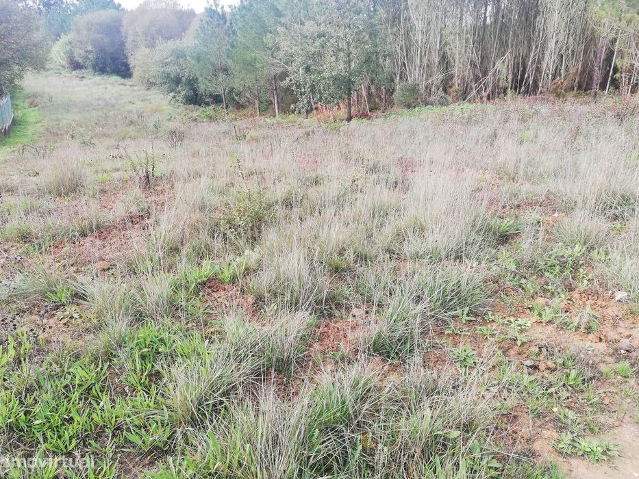 Terreno Rústico Vale Meirriço - Abrigada - Alenquer