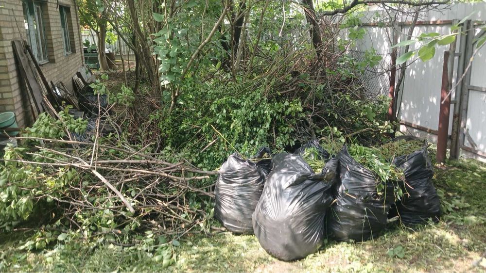 Вивіз побутового будівельного сміття гілок трави Вишеньки Осокорки