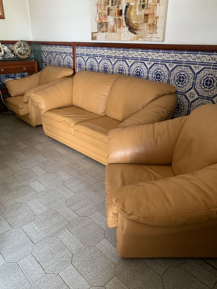 Terno de sofas em pele verdadeira