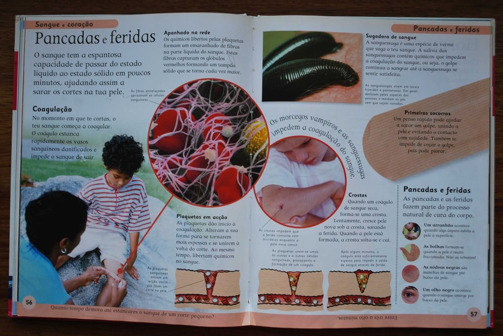 Primeira Enciclopédia do Corpo Humano