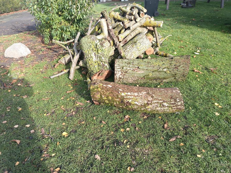 Drewno opał  orzech