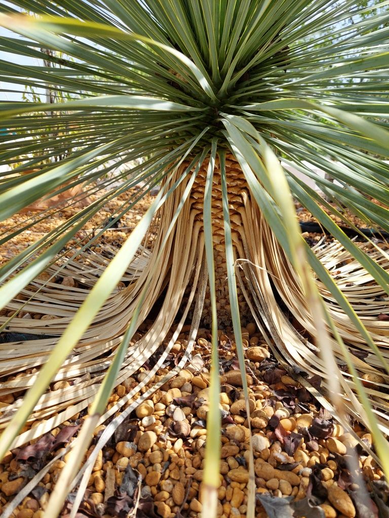 Jardins e Manutenção