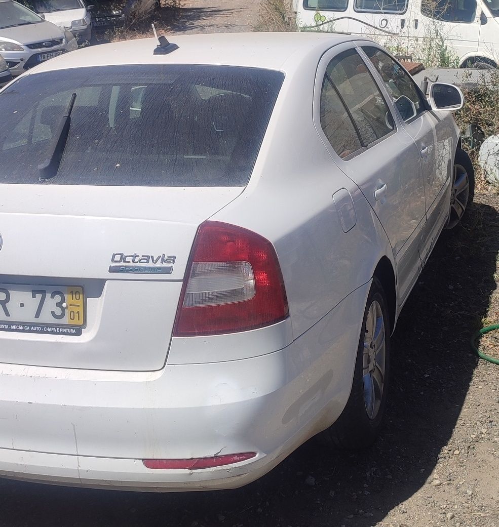 Skoda Octavia 1.9 TDI GreenLine – 2010 – 325.000 km