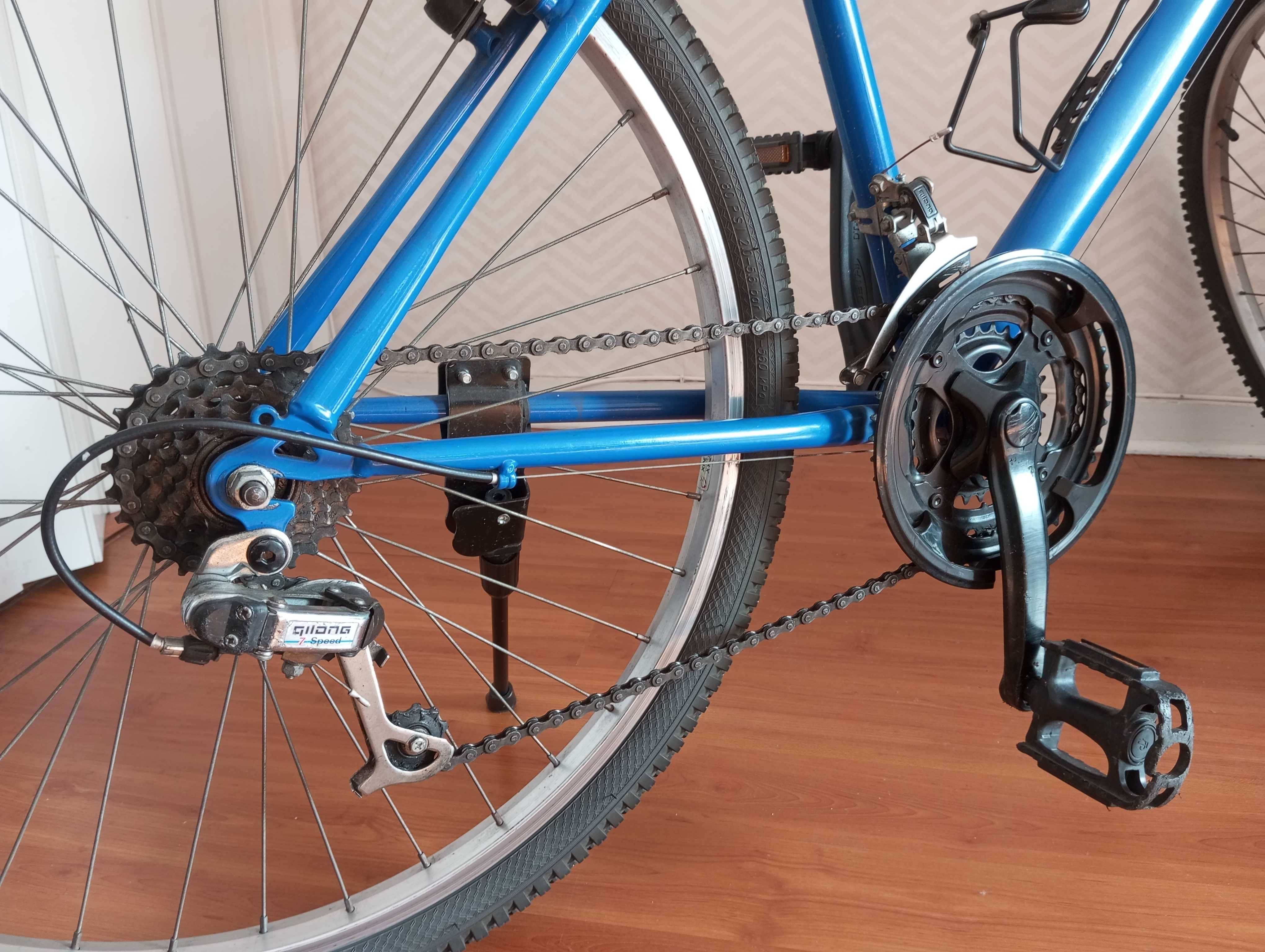 Bicicleta Adulto.