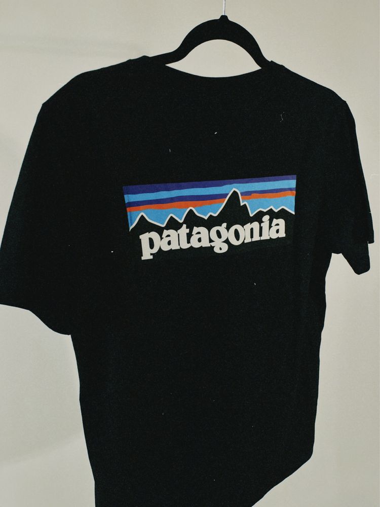 Футболка Patagonia