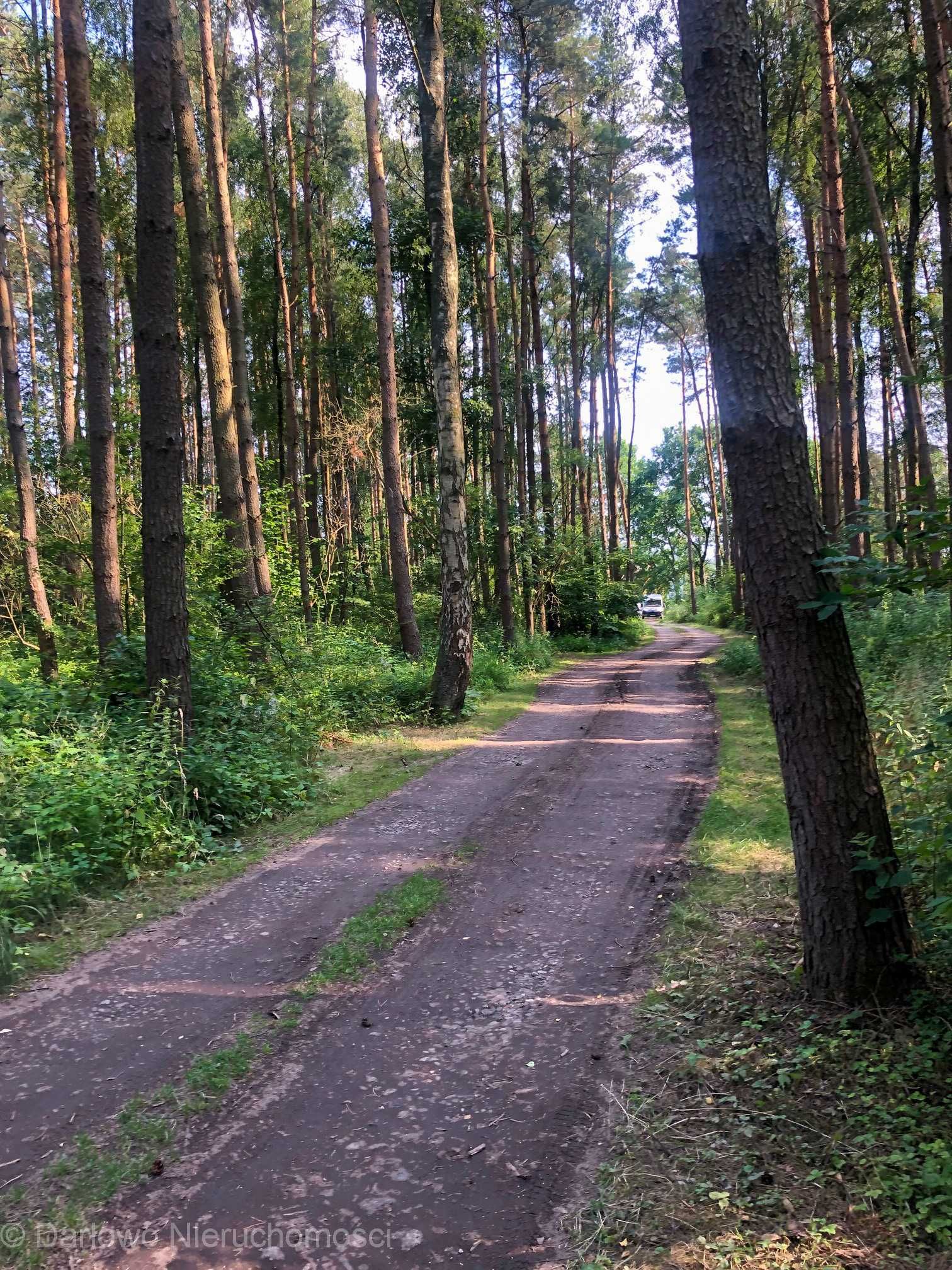 Działka budowlana 1008m Rusinowo media I kompleks