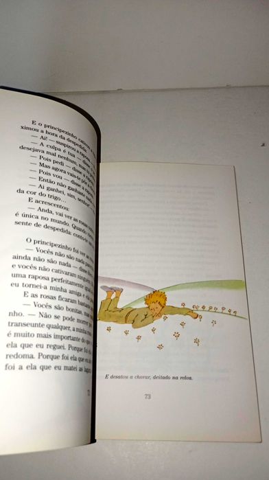 O Principezinho - Antoine de Saint-Exupéry