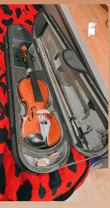 Violina para sale