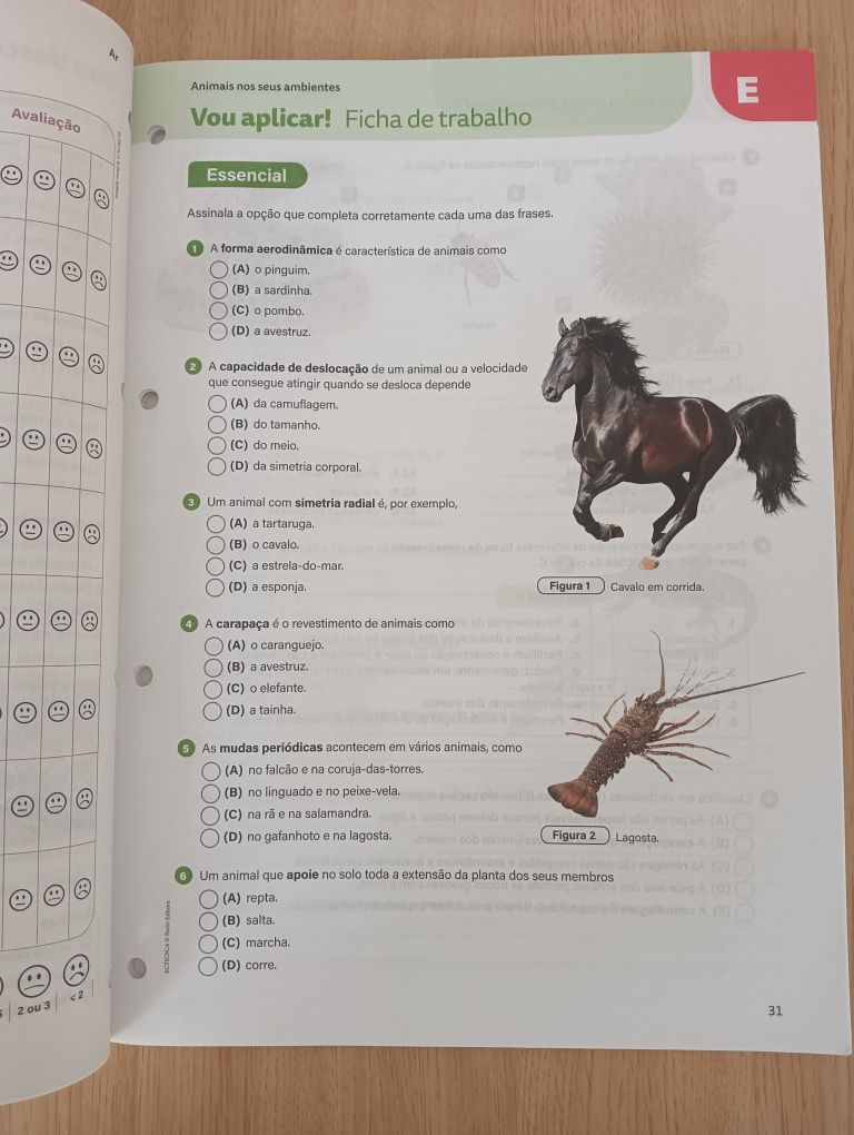 Caderno de fichas EcoCienTic 5°