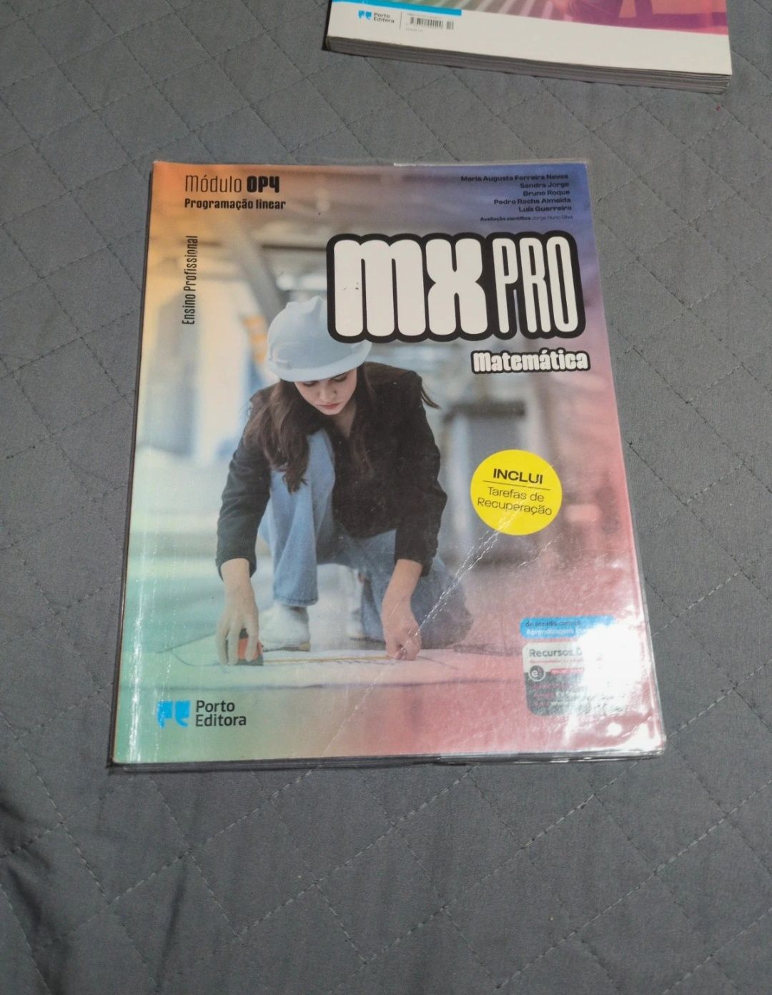 Manual Ensino profissional