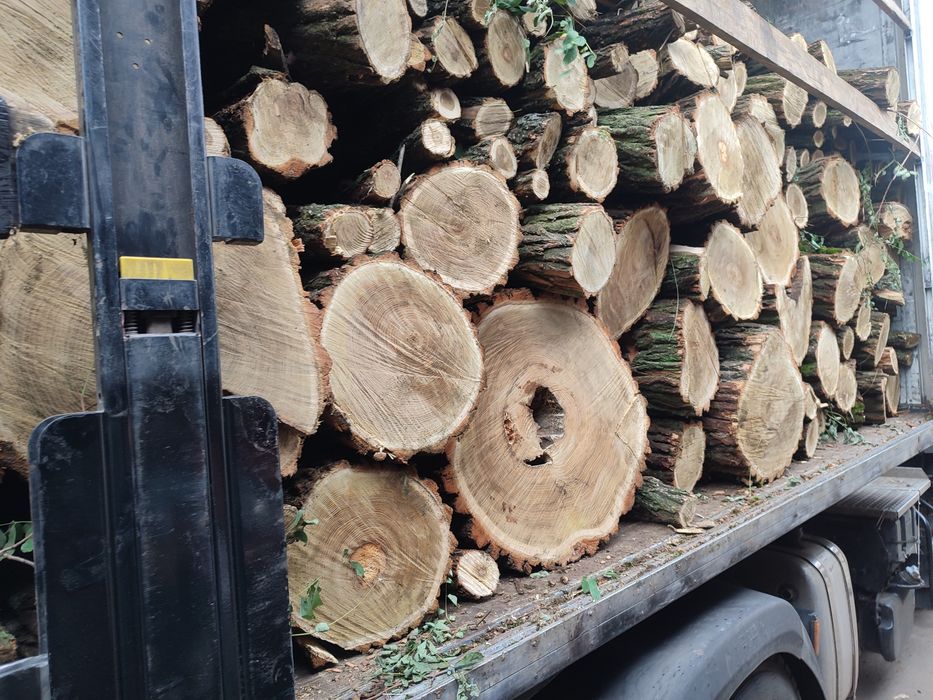 Дрова 1800грн. оптом!!! Дуб, граб, акация