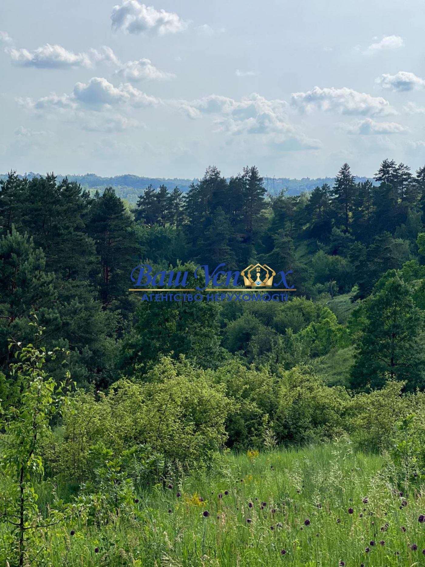 Продаж земли сільгосппризначення  Школьная , село Ходосовка