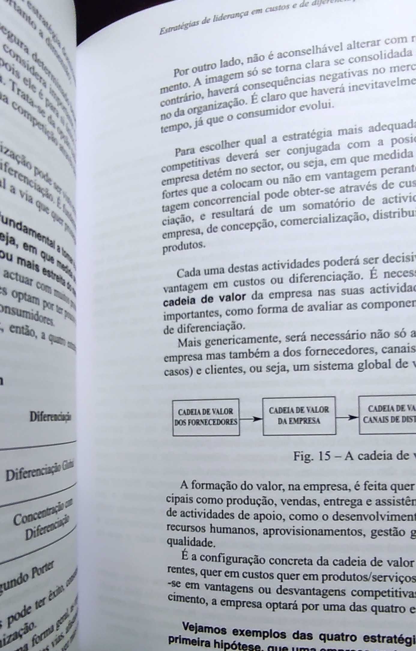 Estratégia e Competitividade, de Luís Cardoso