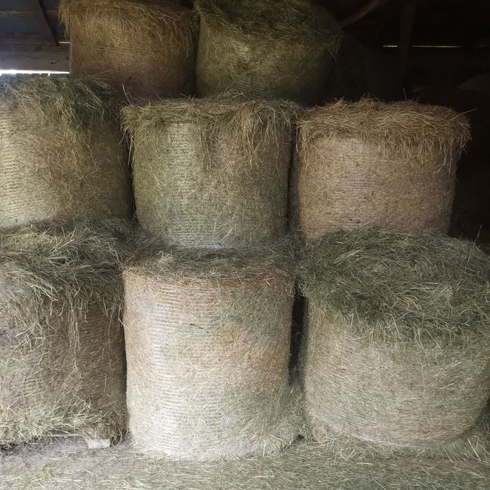 Siano, słoma bele 120/120 Transport, suche