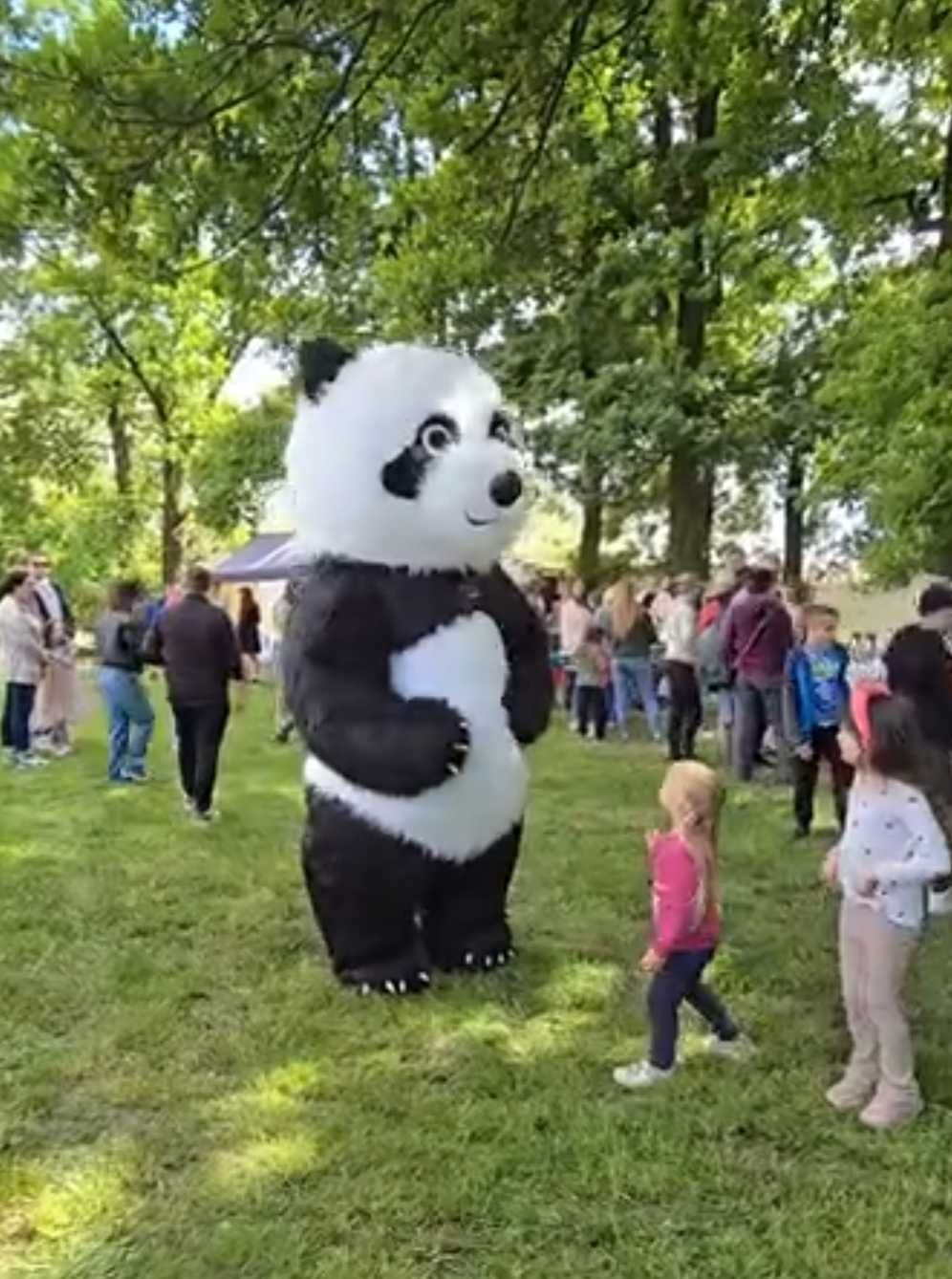 Panda kostium maskotka impreza atrakcja 2.6m na dorosłego