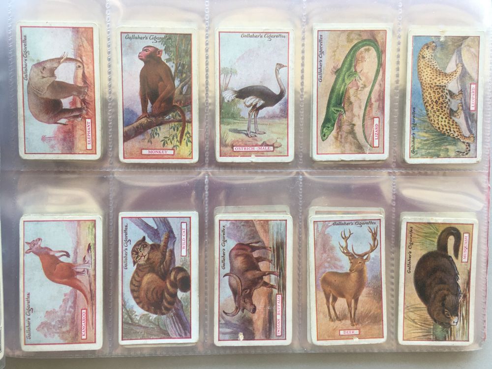 Série 100 cigarette cards: Gallagher, 1921 Animals and Birds of Commercial Value