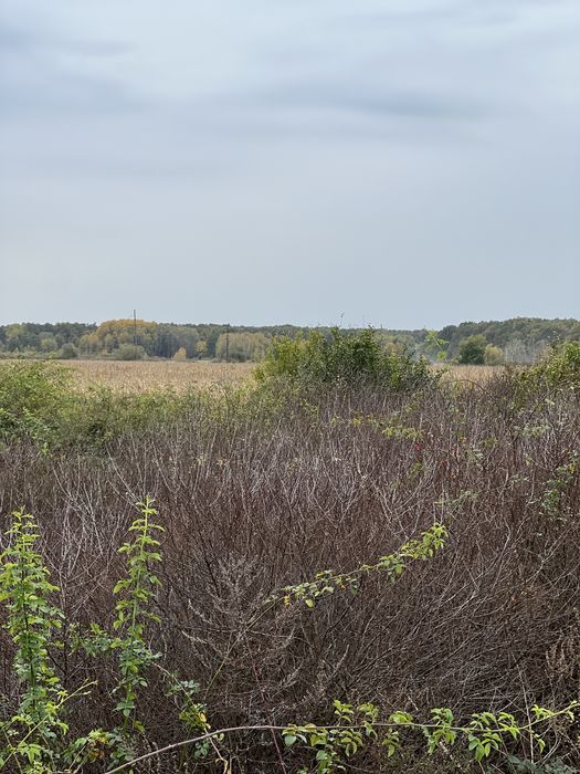 Продаються земельні ділянки