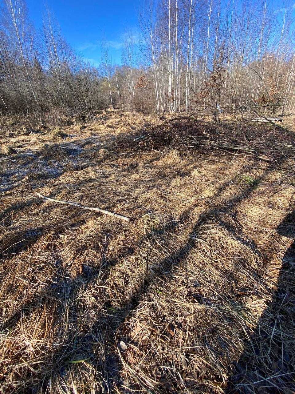 Продається земельна ділянка у селі Посіч, площею 25-соток.