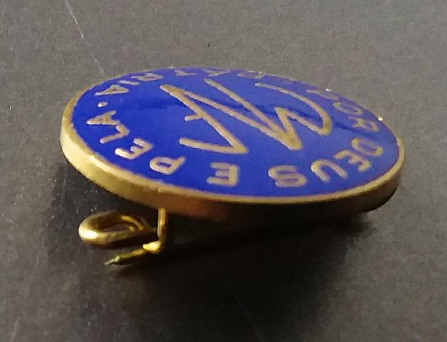 Pin do Movimento Nacional Feminino