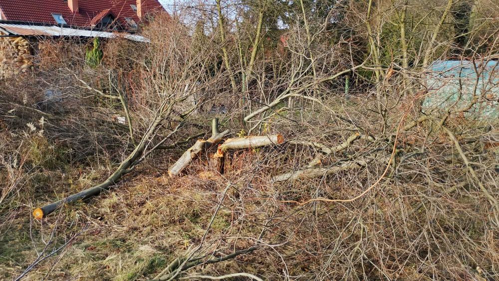 Drewno do oddania (na opal)