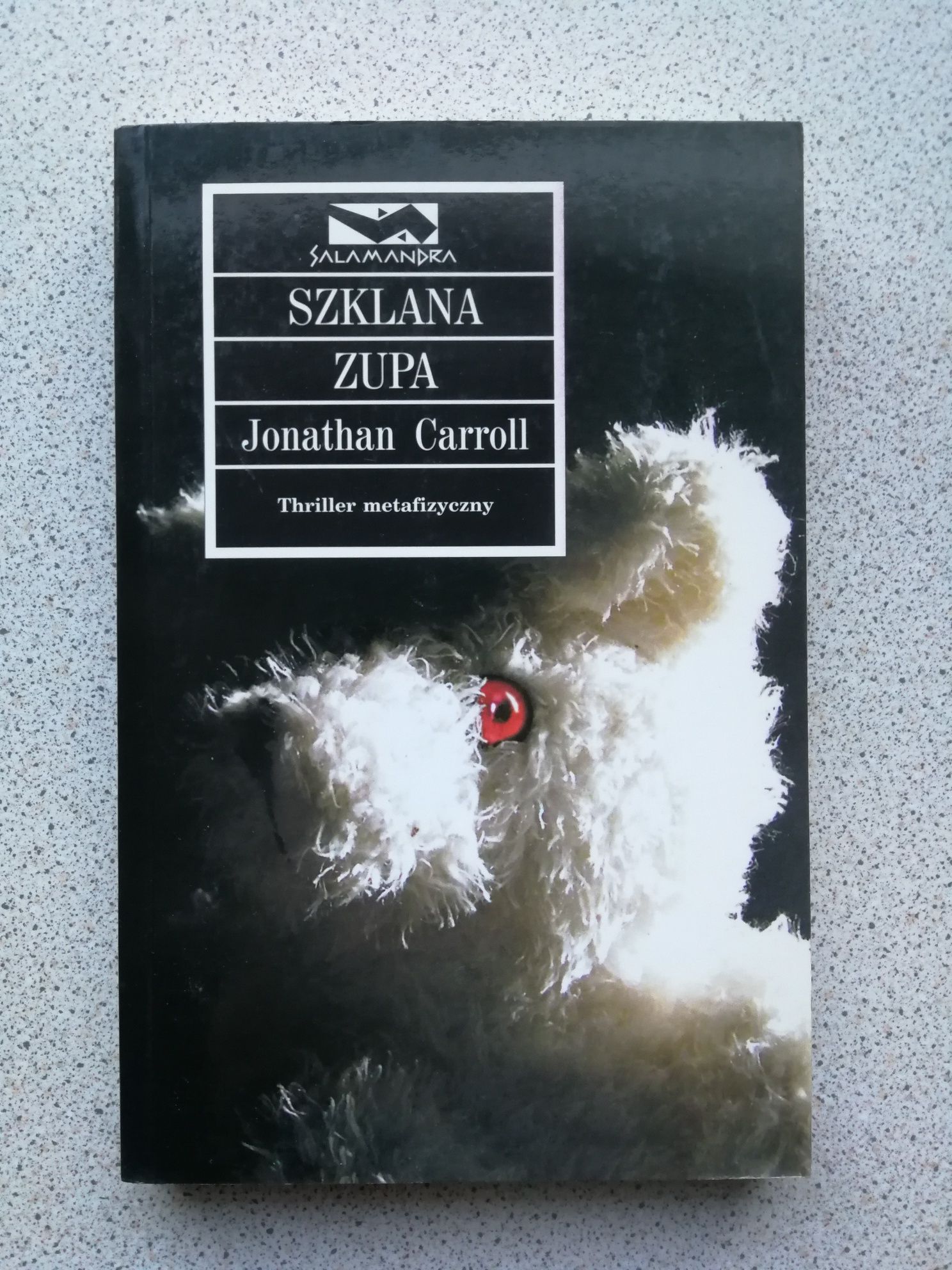 Szklana zupa - Jonathan Carroll