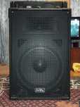 Акустична система 250 W Soundking FI042 + підсилювач потужності AA600J