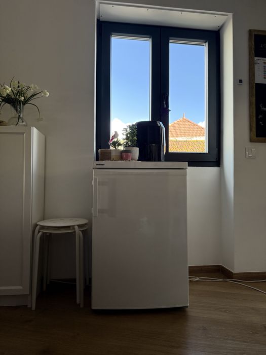 Mini frigorífico Liehberr